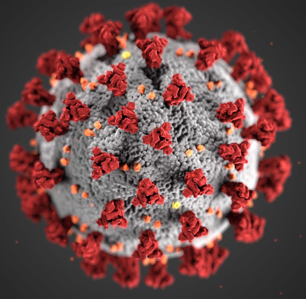 Das Coronavirus hat die Fußball-Bundesliga erreicht - und die Folgen sind gravierend