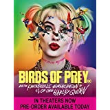 Birds of Prey (4K Ultra HD + Blu-ray + Digital)