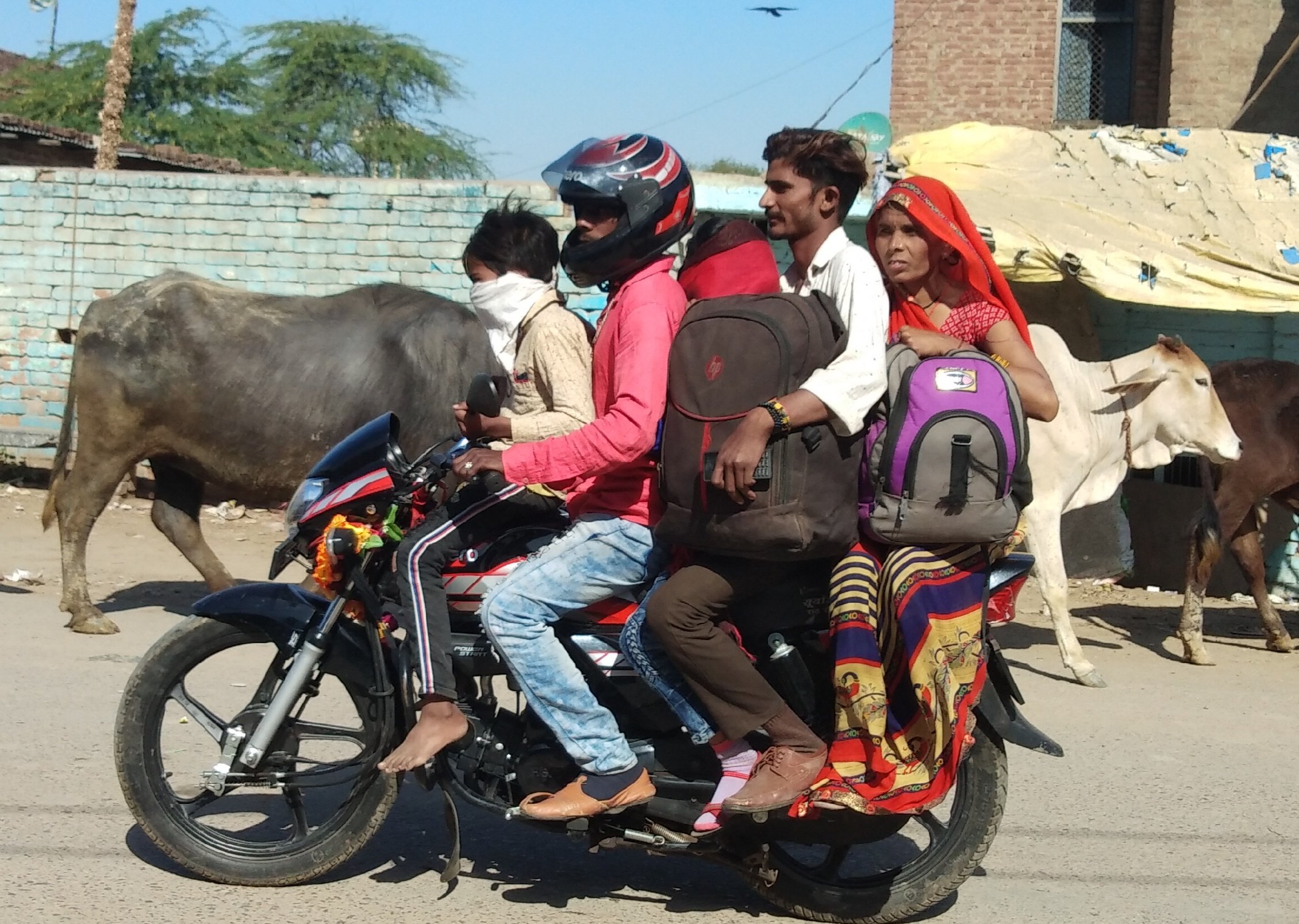 जालौनः कानपुर देहात के भोगनीपुर से एक बाइक पर परिवार के साथ हमीरपुर के राठ कस्बे के लिए जाता सुखद?