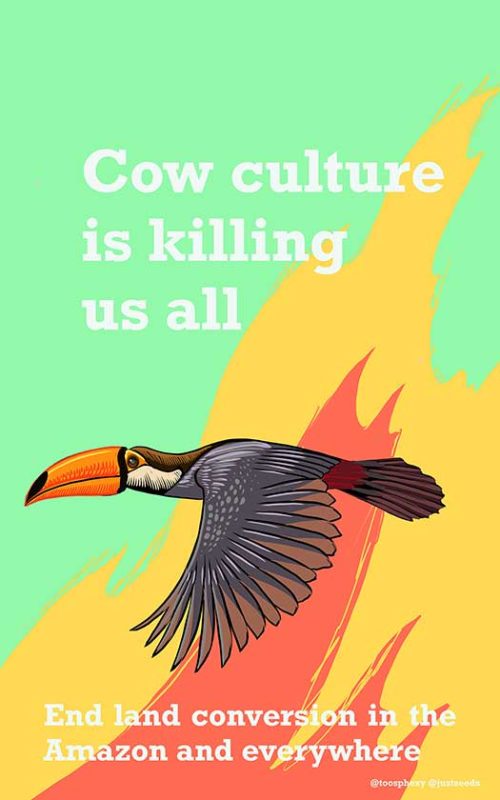 End Cow Culture