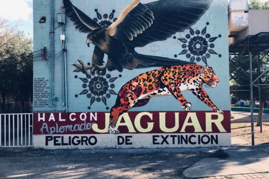 Species in Peril: Murals on the Border