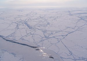 File - Sun glint off a sea ice lead in an otherwise heavily ridged ice pack, Canada Basin (Arctic Ocean).