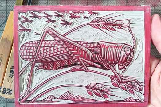 Rocky Mountain Locust print process