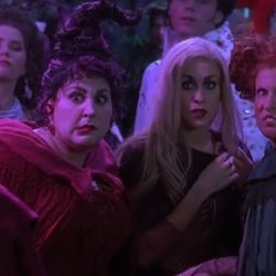 hocus pocus 23866