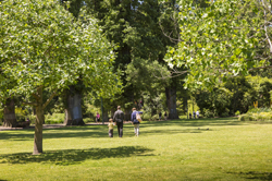 Family walking through a park