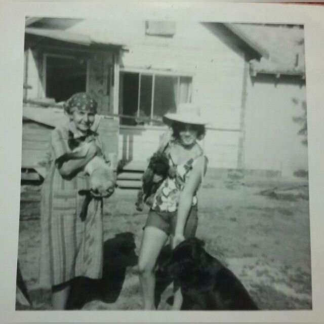 This is probably my favorite family photo. There’s my late grandmother, Etta Adams, looking very much like an Indian grandma of the late 19th Century, and my late big sister, Mary, looking very much like an active participant in early 1970s American culture.

It’s true that cultural assimilation is a painful process. But it can also be unexpectedly lovely and life-affirming. This photo shows two very different ways of being an Indian woman. And both are amazing.

#rezlife #nativeamerican #indigenous #nativepride #nativewomen #bigsister #grandmother