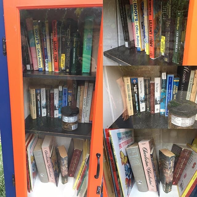 This is one of the most nicely stocked little libraries I’ve ever seen. Mysteries. Thrillers. Butterflies. Office politics. Victor Hugo. And doggie treats!

#littlefreelibrary #library #neighborhoodwalk #victorhugo #lesmiserables #fordummies