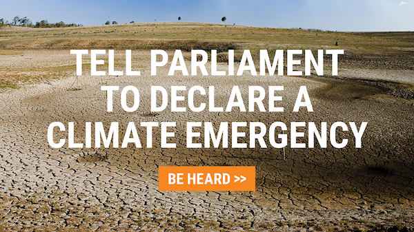 Tell Parliament to declare a Climate Emergency