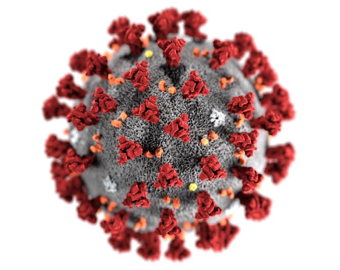 coronavirus white paper