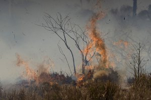 Fire consume brush at the Nova Fronteira region in Novo Progresso, Brazil, Tuesday, Sept. 3, 2019.