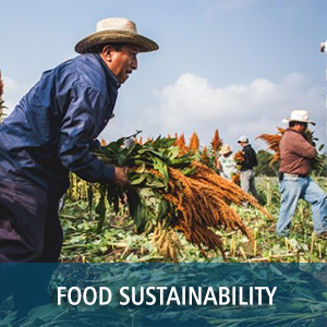 FOOD SUSTAINABILITY