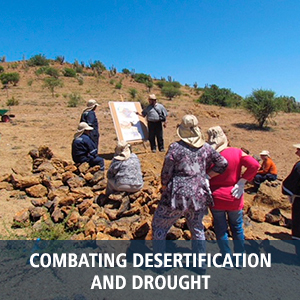 COMBATING DESERTIFICATION AND DROUGHT