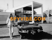 Spy Vibe