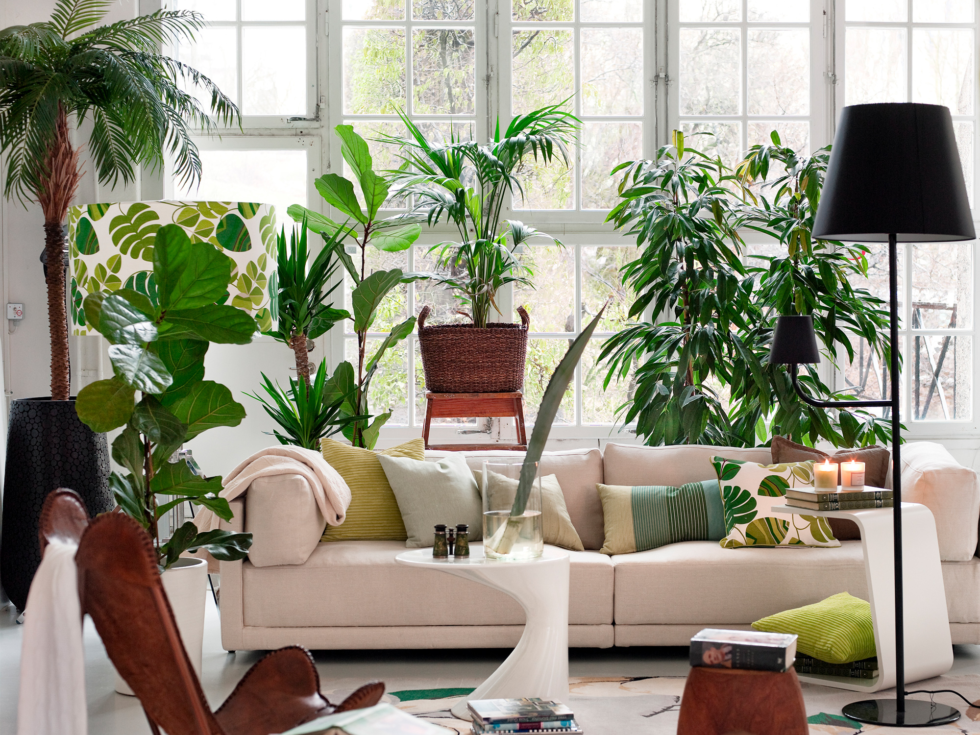 New home, new you: A renter’s guide to living green