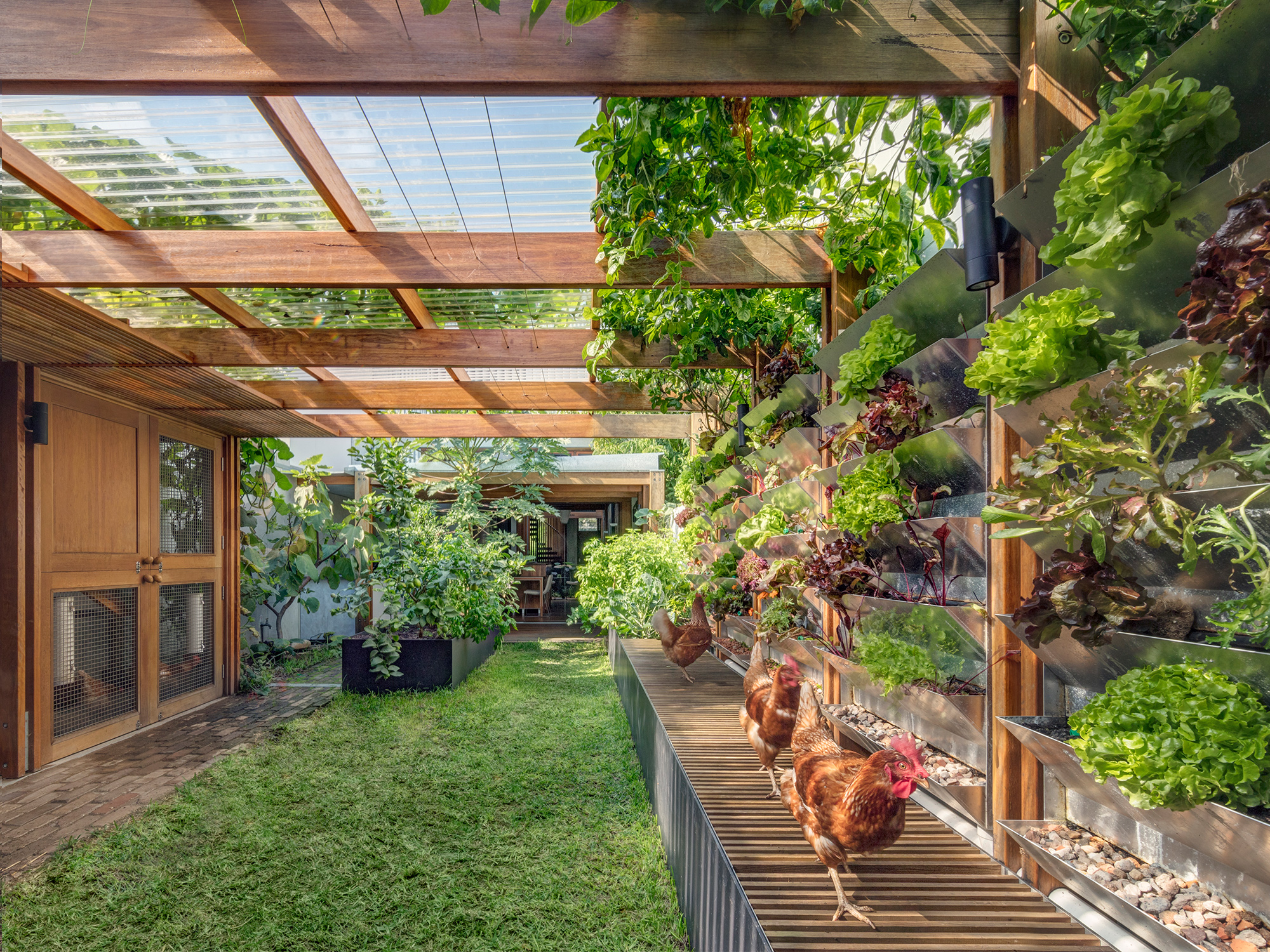 A self-sustaining sanctuary in urban Sydney