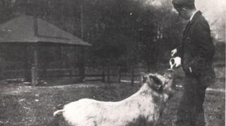 Polly was buried on land next to the The Cock, where she drank with locals