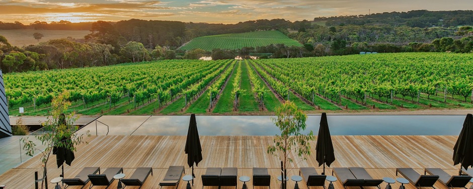 The view from the Jackalope Hotel on Victoria's Mornington Peninsula.