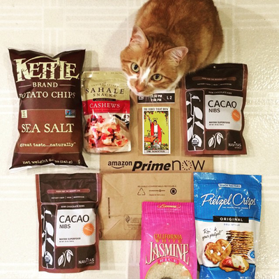 Cat with Prime Now food products