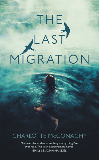 LAST MIGRATION