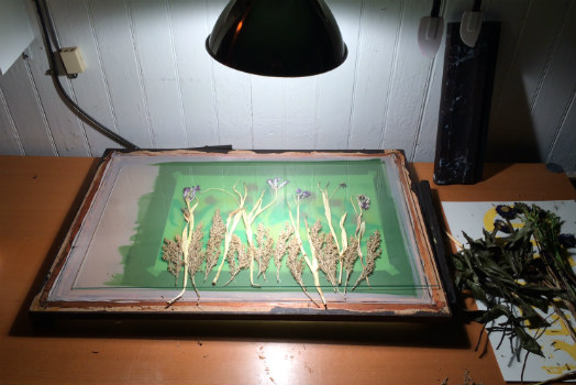 How To: Screenprinting with Dried Plants