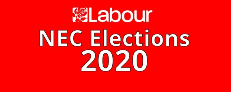 NEC Elections for CLP and BAME rep's - South Lakes Labour