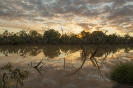 Flows in the Warrego and Paroo - Autumn 2019