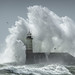 Newhaven lighthouse