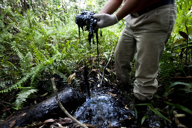 Chevron's Toxic Legacy in Ecuador's Amazon