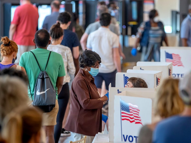 Voters wait in an hours long line to vote at during  the Georgia primary election.