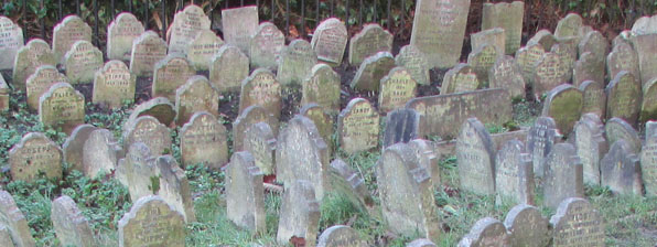 Overview of Hyde Park "Pet" Cemetery, London, 2014