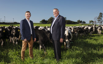 Tony Perich, right, and his son Mark Perich at their dairy farm at Bringelly next to the site of the new airport.