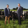 Tony Perich, right, and his son Mark Perich on their dairy farm, which is the subject of an audit report over the Commonwealth's handling of its $30 million purchase.