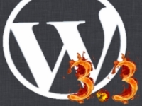 3.3 WordPress