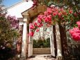 Exterior view of Camellia House in Planting Fields