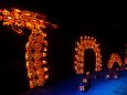 The Great Jack O'Lantern Blaze is coming to