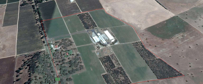 Rural / Farming commercial property for sale at Stonehaven Winery, 7089 Riddoch Highway Padthaway SA 5271