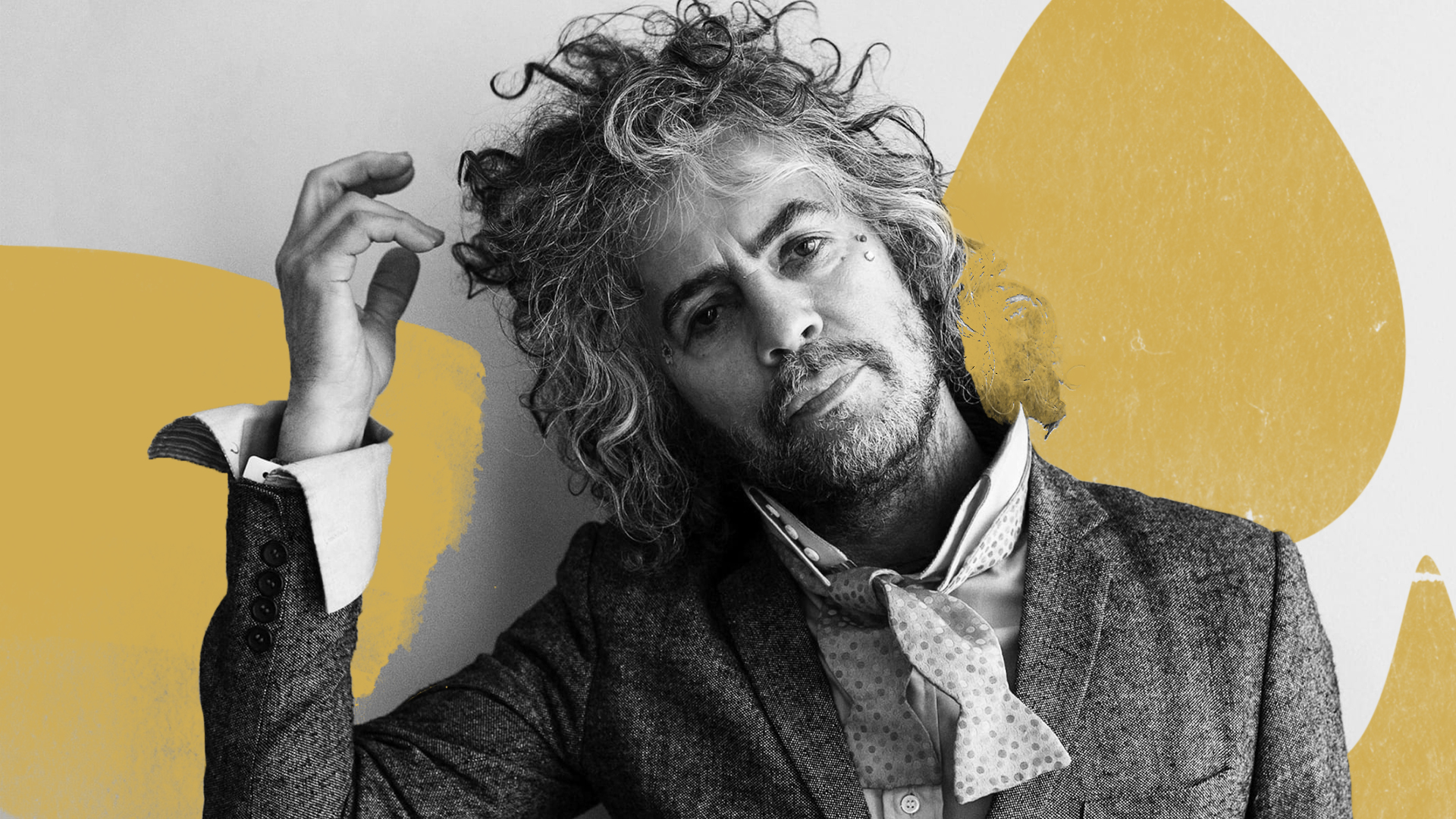 wayne coyne interview