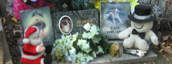 dogs-in-paris-pet-cemetery_