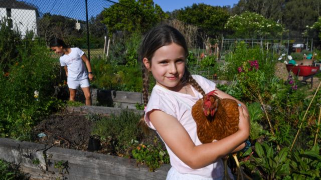 Want a plot in a top Sydney suburb for $100 a year? Join the queue