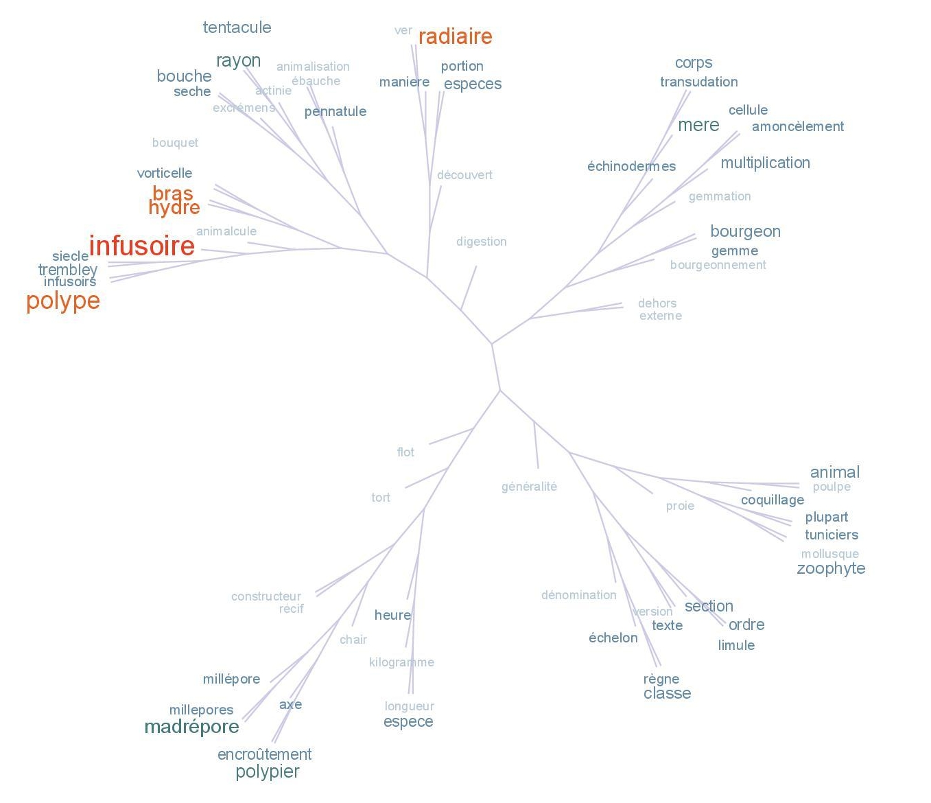 Fig. 4. Nuage de mots arboré des lemmes NOM cooccurrents de la forme « polype » 