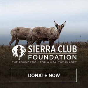 sierra club foundation logo, click to donate vehicle