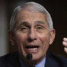 Dr Anthony Fauci, a member of the White House coronavirus taskforce, warned that "there's gonna be a whole lot of pain" unless something changed.