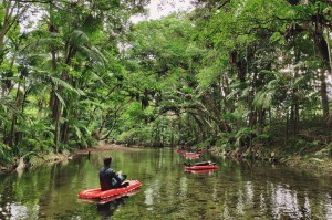 Float on your back and listen to the gurgle of the river in your ears,  watching butterflies flit and kingfishers swoop.