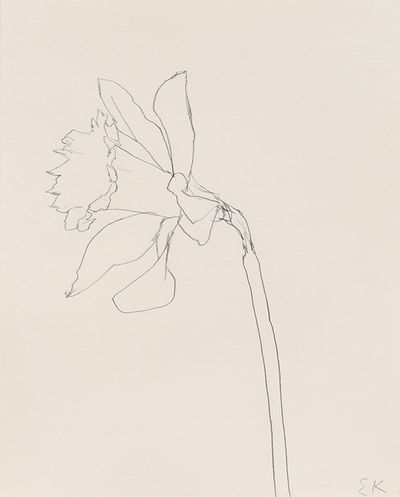Ellsworth Kelly, ‘Daffodil’, 1980