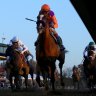 Baffert's Authentic wins Breeders' Cup Classic