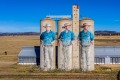 Barraba Silo Art, Tamworth.