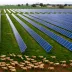 A 'wave' of new solar farms across the world has meant renewables accounted for more than two-thirds of extra electricity generation installed in 2019, Bloomberg New Energy Finance says.