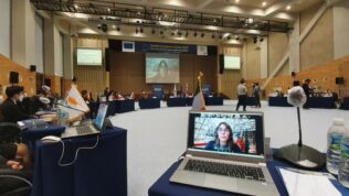 image for Vesalius College Prof. Giulia Tercovich coordinated the 2020 Model European Union (MEU) in the Republic of Korea