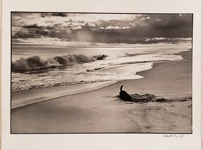 Elliott Erwitt, ‘Easthampton’, 1998