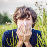 Why do some people get hay fever and what can they do about it?